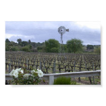 Wine Country posters