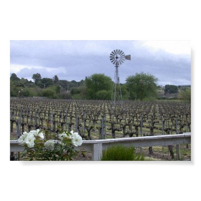 Wine Country Posters by donnythed