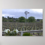 Wine Country posters