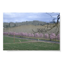 Wine Country Scenic posters