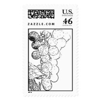 Wine Grapes postage