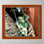 Wine Grapes &amp; Wicker  Art Poster