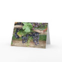 Wine on the Vine cards by Sharons_Shop Wine on the Vine cards