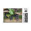 Wine on the Vine postage by Sharons_Shop Wine on the Vine postage