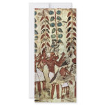 Wine Press, Tomb Of The Royal Scribe Userhet  By Rack Card Template