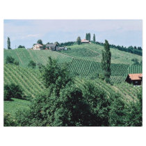 Wine route in Southern Syria, Austria at the Corni Flyers