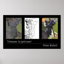 Wine Rules (Poster)