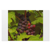 Wine stationery