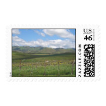 winecountry postage