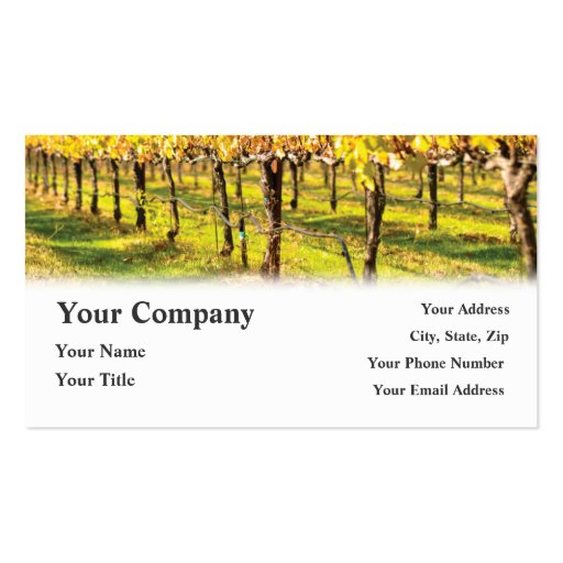Winery Wine Restaurant Vineyard Business Cards (front side)