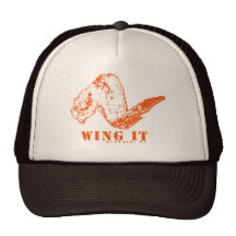 Wing It Mesh Hat