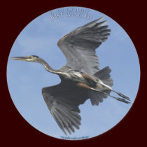 WING IT! Motivational Stickers