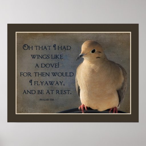 Wing of a Dove Poster