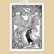 Winged Dragon Cards cards
