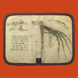 davinci, science, invention, wings, fly,