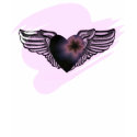 Winged Heart t-shirts by CindyZazzle Winged Heart t-shirts