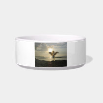 Winged Lion Pet Bowl Cat Bowl