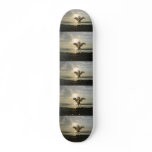 Winged Lion Skateboard