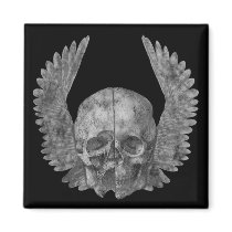 Winged Skull magnets