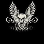 Winged Skull t-shirts