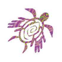 Winged Turtle