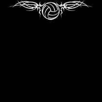 Winged Volleyball t-shirts by VolleyballTees Winged Volleyball t-shirts