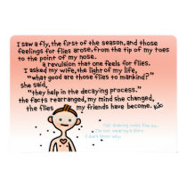 winged wall hanging. posters