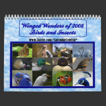 Winged Wonders of 2008 calendars