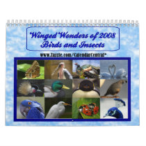 Winged Wonders of 2008 calendars