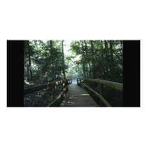 Wingham Brush Photo Card
