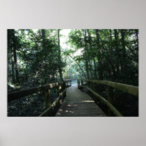 Wingham Brush Posters