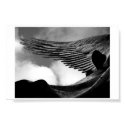 Wings above us posters