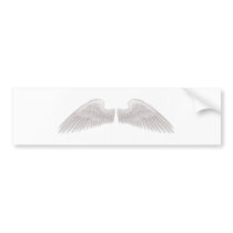 Wings illustration bumper sticker