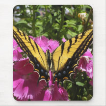 Wings of Beauty (10) Mouse Pad