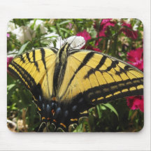 Wings of Beauty (11) Mouse Pad