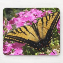 Wings of Beauty (2) Mouse Pad