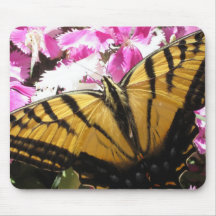 Wings of Beauty (3) Mouse Pad