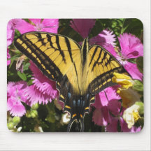 Wings of Beauty (4) Mouse Pad