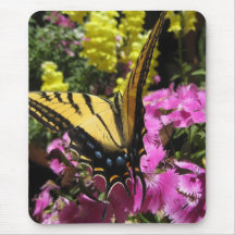 Wings of Beauty (5) Mouse Pad
