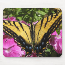 Wings of Beauty (8) Mouse Pad