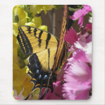 Wings of Beauty (9) Mousepad