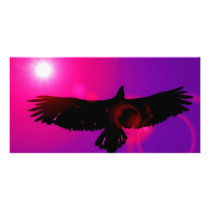 Wings of Eagle photo cards