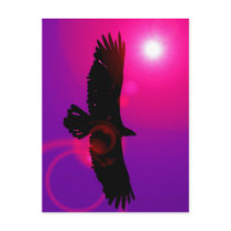 Wings of Eagle Postcard