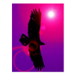 Wings of Eagle Postcard