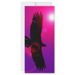 Wings of Eagle rack cards