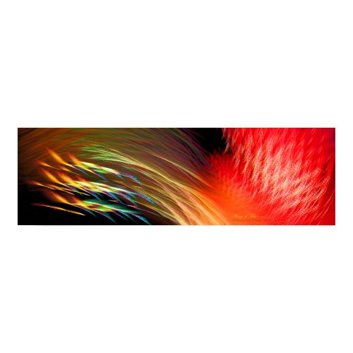 'Wings of Fire' Art Print