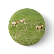 Wings of May: Horses buttons