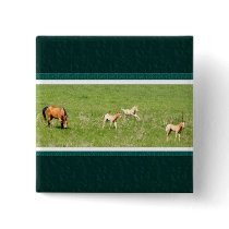 Wings of May: Horses buttons
