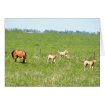 Wings of May: Horses Card