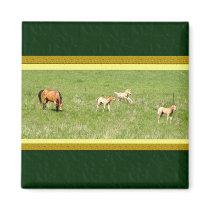 Wings of May: Horses magnets